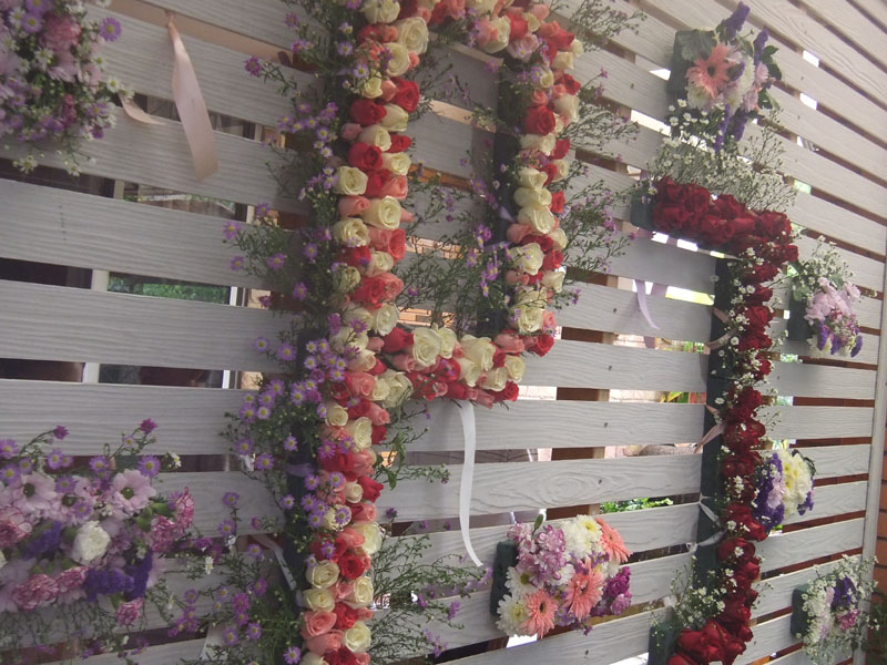 DSCF1344