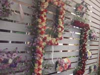 DSCF1344