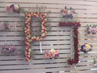 DSCF1345