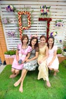 V_P&J_0037